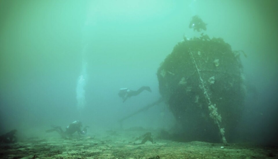 VRAK: Omgitt av stillheten, det grønne dypet og tre nysgjerrige dykkere, ligger den 104 år gamle M/S Øygar fredelig på havbunnen ¿ 22 meter under havoverflaten.
