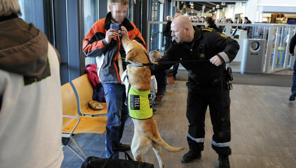 Jaktlabradoren Dan og tollbetjent Bjørn Åge Bakken i aksjon på Sandefjord lufthavn. I dag bruker Tollvesenet tre spesialtrente hunder til å snuse opp penger som blir forsøkt tatt med ulovlig ut av landet.