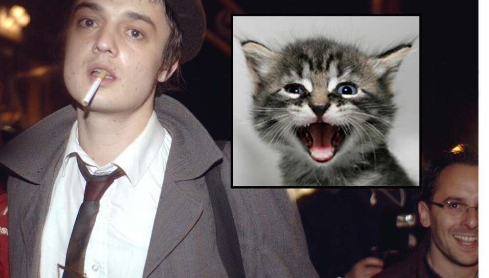 Pete Doherty