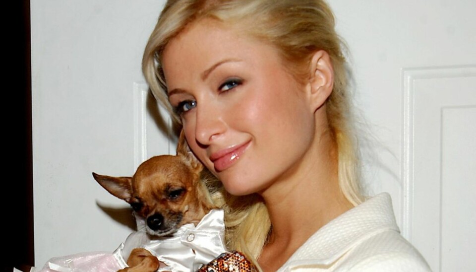 Paris Hilton