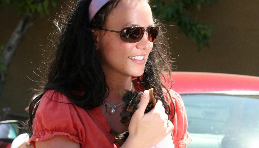 Britney Spears med sin nye hund
