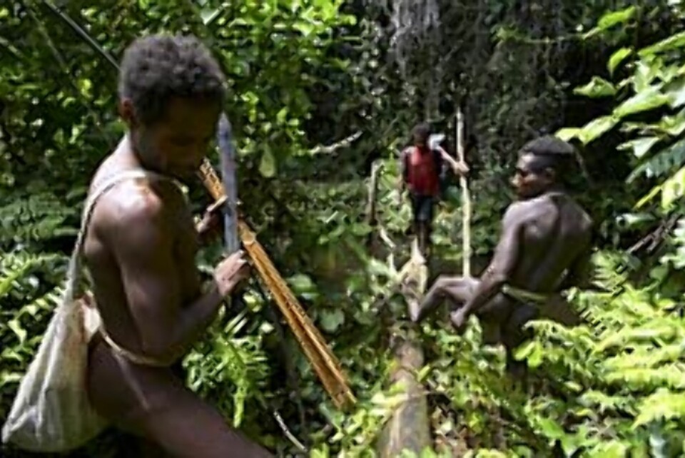 KRUNGLETE: Veien til korowai batuenes landsby går gjennom sumper og tett jungel. Men våre ledsagere virker så blide og ville. De smiler og ler, for plutselig å utstøte noen rabiate kamphyl, som kan skremme fanden på flatmark.