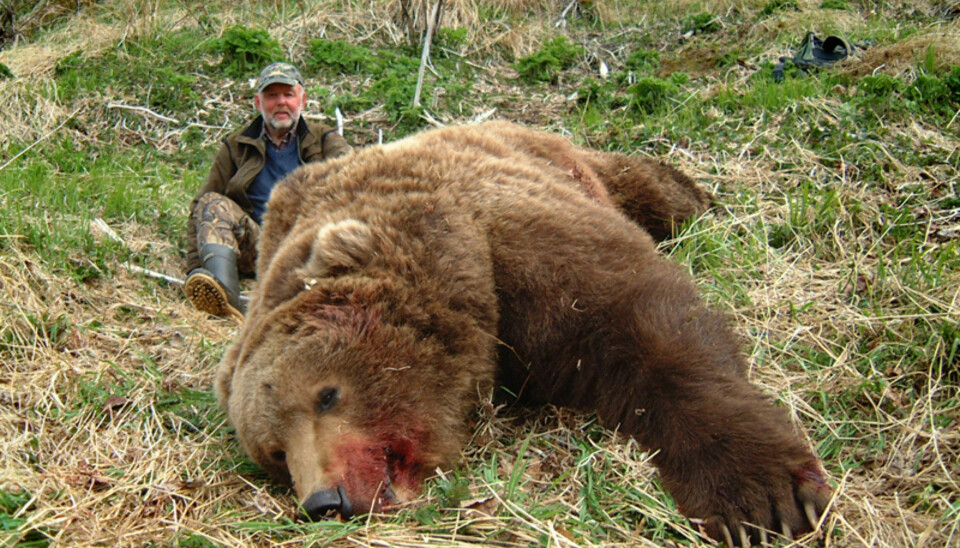 Bjørnejakt i Canada har stått øverst på ønskelista til norske jegere. Foto: Villmarksmessen