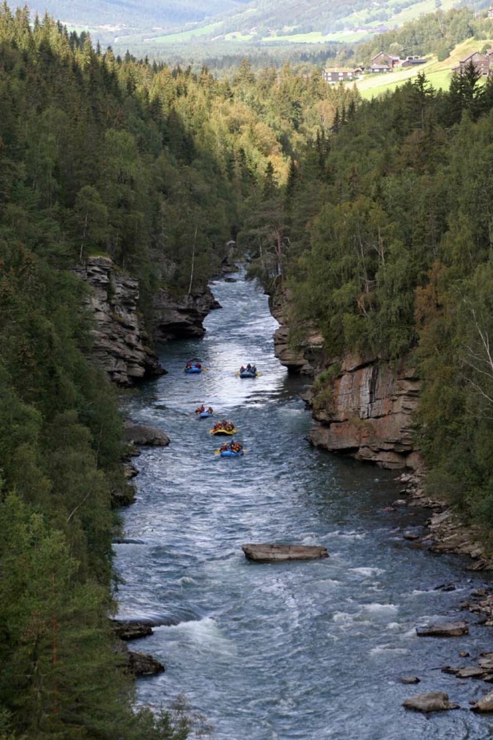 - I roligere partier ser jeg opp og oppdager hvilken vidunderlig natur Sjoa fosser gjennom. Foto: Inge Lundereng og Alejandro Cuellar Giordano