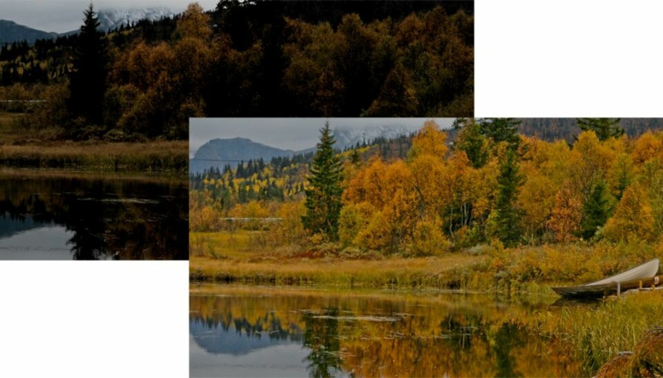 REDD MISLYKKEDE BILDER: Alt håp er ikke ute selv om du har undereksponert et bilde, hvis du har lagret i RAW-format.