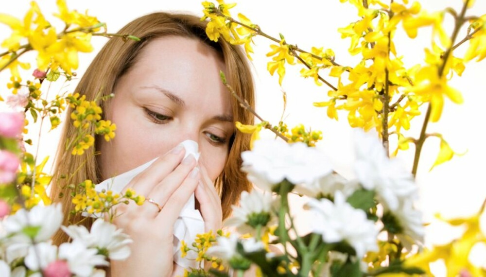 ALLERGI: Er du plaget av pollenallergi, bør du være varsom med hvilken type sminke du bruker.