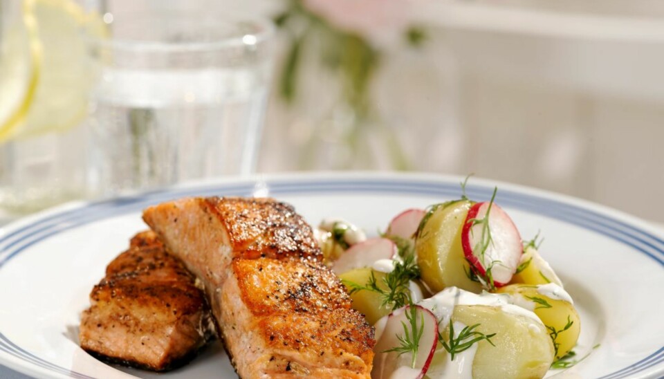 Stekt laks med potetsalat.