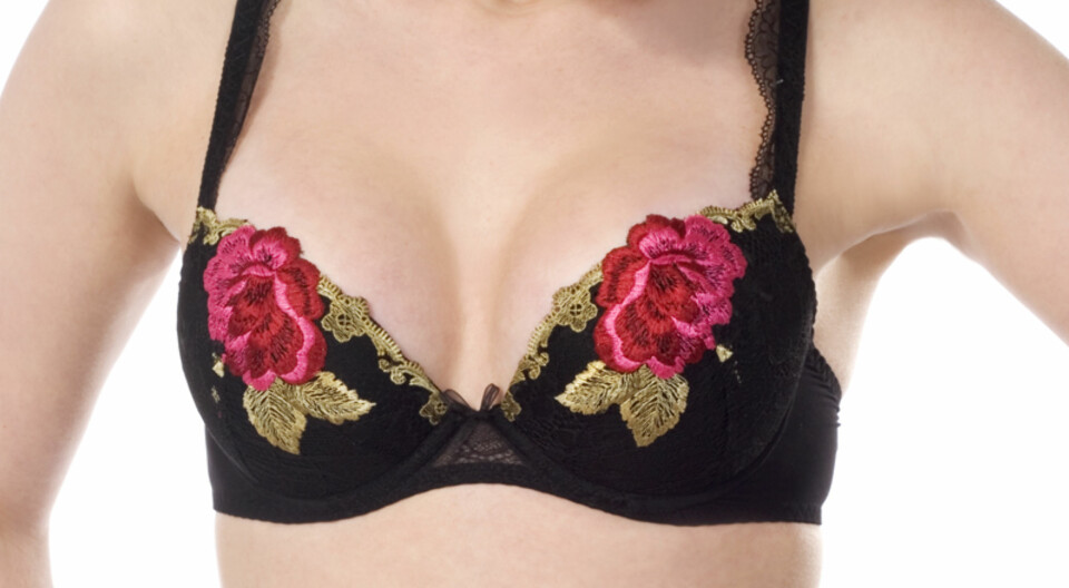 Romantisk med roser og blonder fra Barbara, kr 699.
