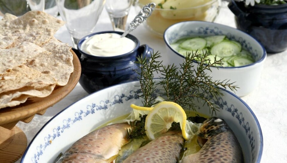 La deg friste av ovnsbakt fjellørret med agurksalat og seterrømme.