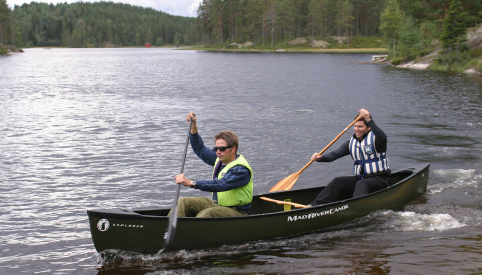 Mad River Explorer 16 m/Royalex