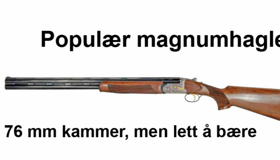 EXXO Lux Lite 12-76