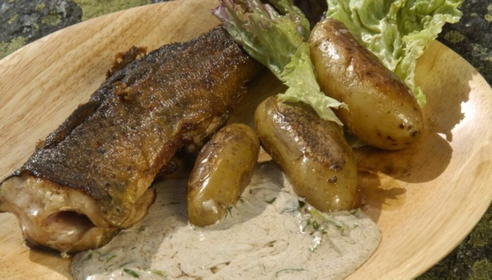 ØRRETMIDDAGEN kan tilberedes og serveres nesten som på kjøkkenet hjemme – med nypoteter og rømmesaus. (Foto: Yngve Ask) ØRRETMIDDAGEN kan tilberedes og serveres nesten som på kjøkkenet hjemme – med nypoteter og rømmesaus. (Foto: Yngve Ask)