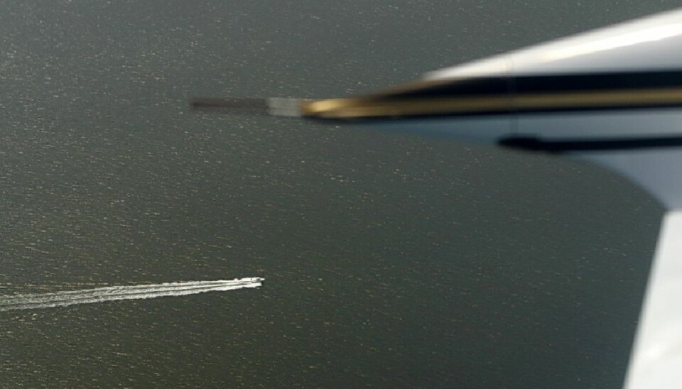 Guard Systems: Høytflygende sporhunder