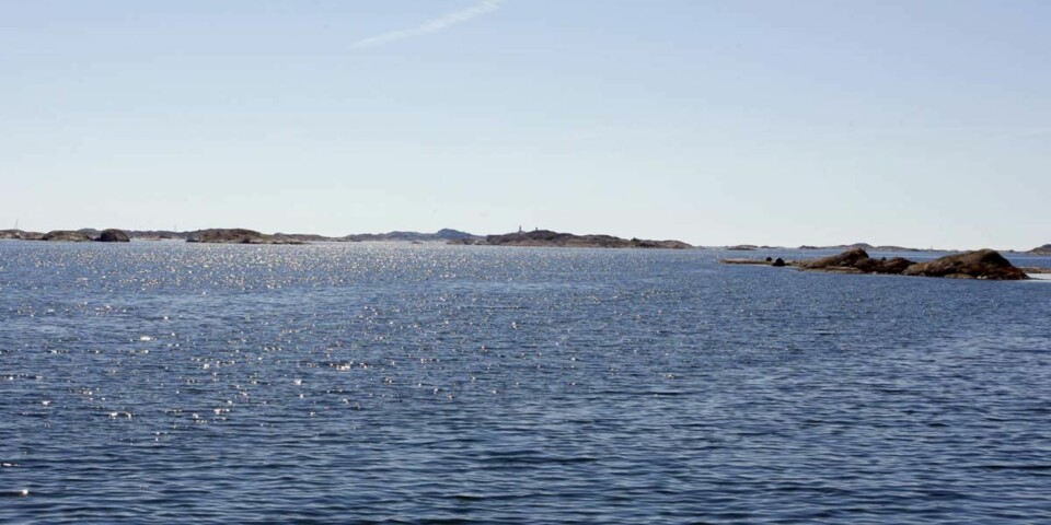 I det lune ''bassenget'' på sydsiden av Koster er det mange øyer å velge blant.