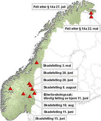 Det er felt 10 bjørner i Norge så langt i år. Syv dyr er felt etter vedtak om skadefelling, to bjørner har blitt felt i Finnmark etter § 14a i viltloven (har  ikke vist naturlig skyhet overfor mennesker). En ulovlig felling er dessuten under etterforskning.