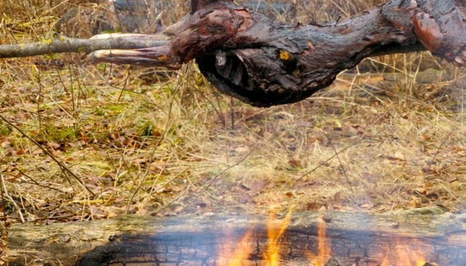 GRILLBUKK: Velsmakende og helt naturlig. (Foto: Yngve Ask)