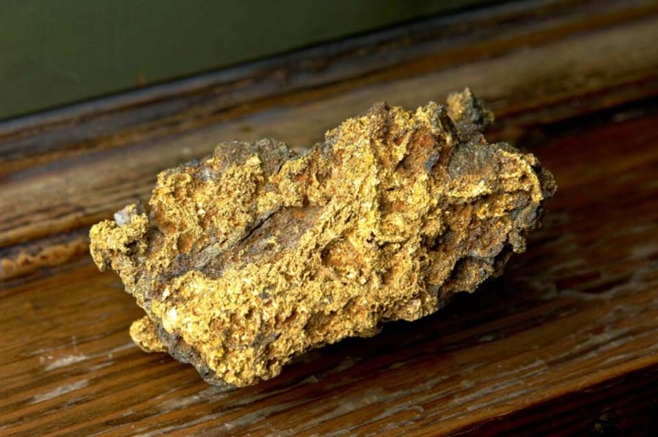 Gullprisen er i dag om lag 728,85 dollar per unse, eller 130 000 kroner per kilo. Rekordprisen ble satt på 800 dollar per unse i 1980. Foto, inkludert forsidefoto: Naturhistorisk museum, UIO.