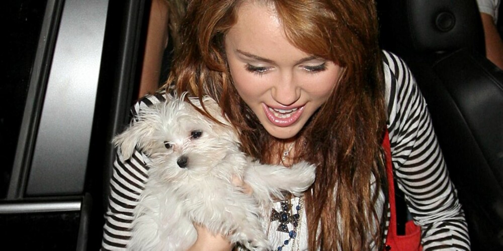 Miley Cyrus har skrevet ferdig erindringsboken sin.
