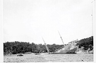 Transportskipet ""Donau"" gikk ned i Drøbaksundet 15. januar 1945 med 1500 tyske alpejegere, 300 hester og like mange biler om bord. Max Manus og kameraten Roy Nilsen sto bak.