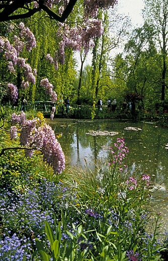 Hagen i Giverny ble som et paradis for Claude Monet. Her malte han noen av sine mest berømte bilder, blant annet en serie malerier av vannliljer. Ett ble solgt i juni i fjor til 427 millioner kroner.