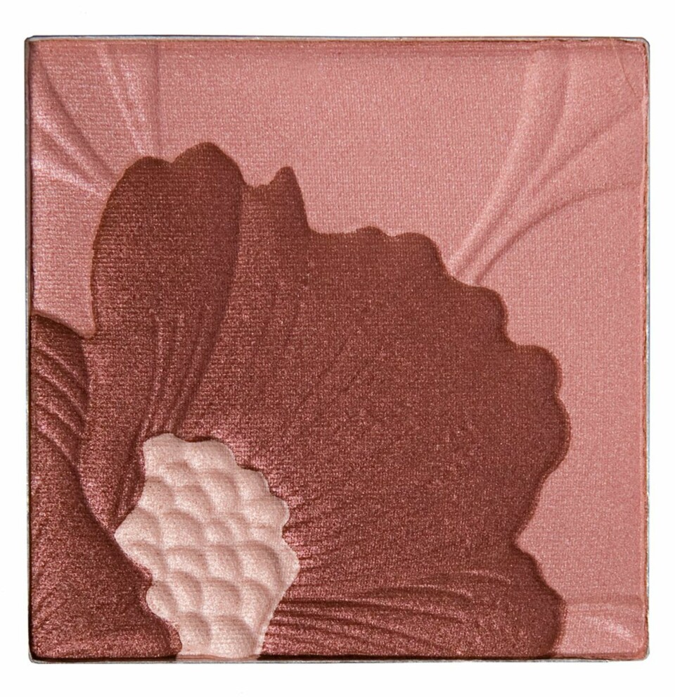 Clinique Fresh Bloom All Over Cover.
