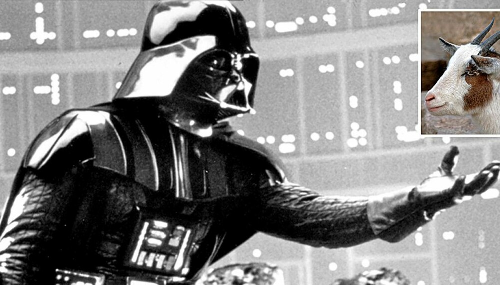MED HORN OG HALE: Darth Vader koser med geiter når han ikke kjemper for univers-herredømme.