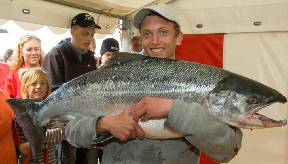 I Trolling Master Bornholm er det laget med mest sølv som tar gull, og i år er det med flere norske båter enn noen gang. I Trolling Master Bornholm er det laget med mest sølv som tar gull, og i år er det med flere norske båter enn noen gang.