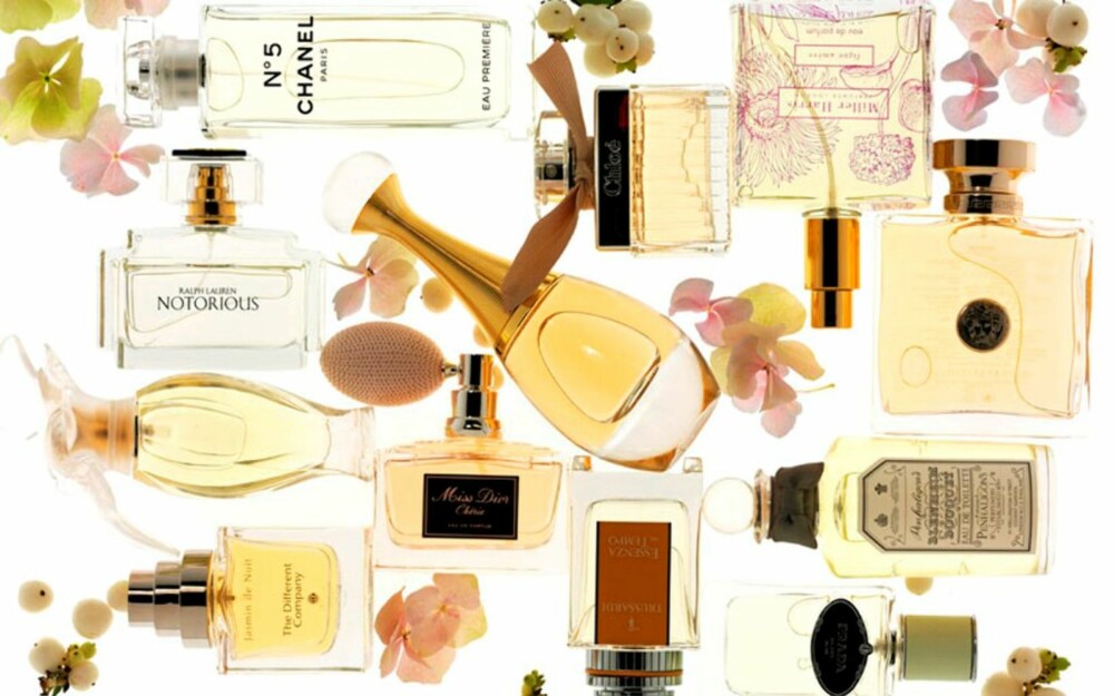 LYS OG KLASSISK: Jasmin de nuit fra The Different Company, EdP 50 ml, kr 710. L'air du temps fra Nina Ricci, EdT 30 ml, kr 330. Notorious fra Ralph Lauren, kr 410 for 30 ml EdP. Chanel no 5 Eau Première, EdT 75 ml, kr 850. J'Adore L'absolu fra Dior, EdT 50 ml, kr 540. Miss Dior Chérie, EdP 50 ml, kr 710. Essenza del tempo fra Trussardi, EdT 50 ml, kr 399. Prada Infusion D'Iris, EdP 50 ml, kr 580. Blenheim Bouquet, EdT 50 ml, kr 685. Chloé, EdP 30 ml, kr 380. Figue Amére fra Miller Harris, EdP 100 ml, kr 975. Versace Medusa, EdP 30 ml, kr 400. LYS OG KLASSISK: Jasmin de nuit fra The Different Company, EdP 50 ml, kr 710. L'air du temps fra Nina Ricci, EdT 30 ml, kr 330. Notorious fra Ralph Lauren, kr 410 for 30 ml EdP. Chanel no 5 Eau Première, EdT 75 ml, kr 850. J'Adore L'absolu fra Dior, EdT 50 ml, kr 540. Miss Dior Chérie, EdP 50 ml, kr 710. Essenza del tempo fra Trussardi, EdT 50 ml, kr 399. Prada Infusion D'Iris, EdP 50 ml, kr 580. Blenheim Bouquet, EdT 50 ml, kr 685. Chloé, EdP 30 ml, kr 380. Figue Amére fra Miller Harris, EdP 100 ml, kr 975. Versace Medusa, EdP 30 ml, kr 400.