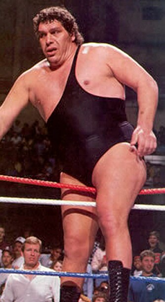 André The Giant.