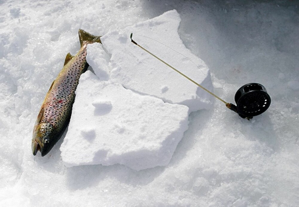 TO SNØFLAK lagt mot hverandre hindrer at snøret fryser fast når hullet iser til. Du kan også bruke et "lokk" av isopor. TO SNØFLAK lagt mot hverandre hindrer at snøret fryser fast når hullet iser til. Du kan også bruke et "lokk" av isopor.