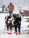 Tipsene som redder påsken Nye Medier Last ned Lars Monsens Nordkalotten 365 – gratis og i full