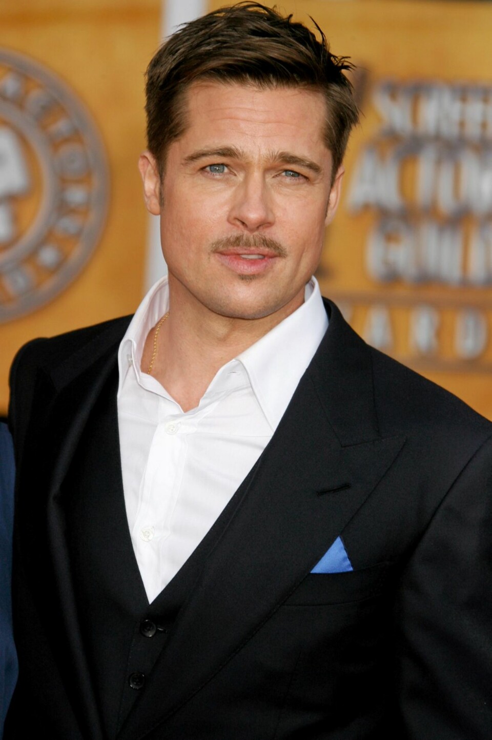 ...og Brad PItt vil fortsatt ha enda flere barn med Angelina Jolie.