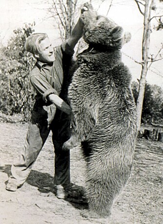 ETTER KRIGEN:Wojtek overlevde krigen og ble plassert i Edinburgh Zoo. Men han mislikte livet bak gjerder og ble litt sky. Han døde i 1963, 22 år gammel. Han var høyt verdsatt og elsket. Her fotografert med sin venn Peter Prendys.
