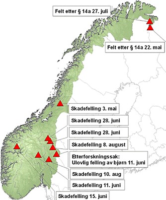 Det er felt 10 bjørner i Norge så langt i år. Syv dyr er felt  etter vedtak om skadefelling, to bjørner er blitt felt i Finnmark  etter § 14a i viltloven ¿ nærgående individer som  ikke har vist naturlig skyhet overfor mennesker. En ulovlig felling er  dessuten under etterforskning.