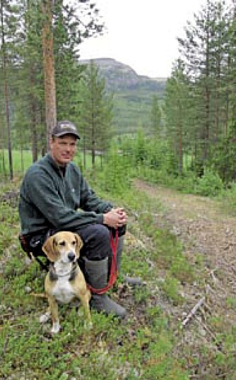 SKOGSBILVEI: En gammel skogsbilvei som dette skaper ikke samme trøbbel for bikkja som en velbrukt vei, mener Arve Løkken.
