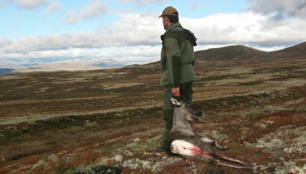 Jakta har gitt resultater, men husk: Din silhuett røper deg på lang avstand. (Foto: Bjørn Brendbakken) Jakta har gitt resultater, men husk: Din silhuett røper deg på lang avstand. (Foto: Bjørn Brendbakken)