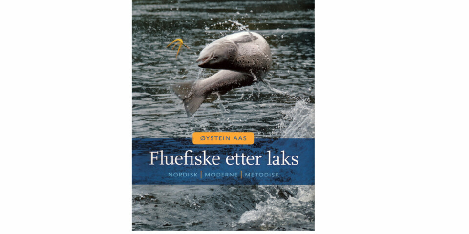Flott om fluefiske etter laks