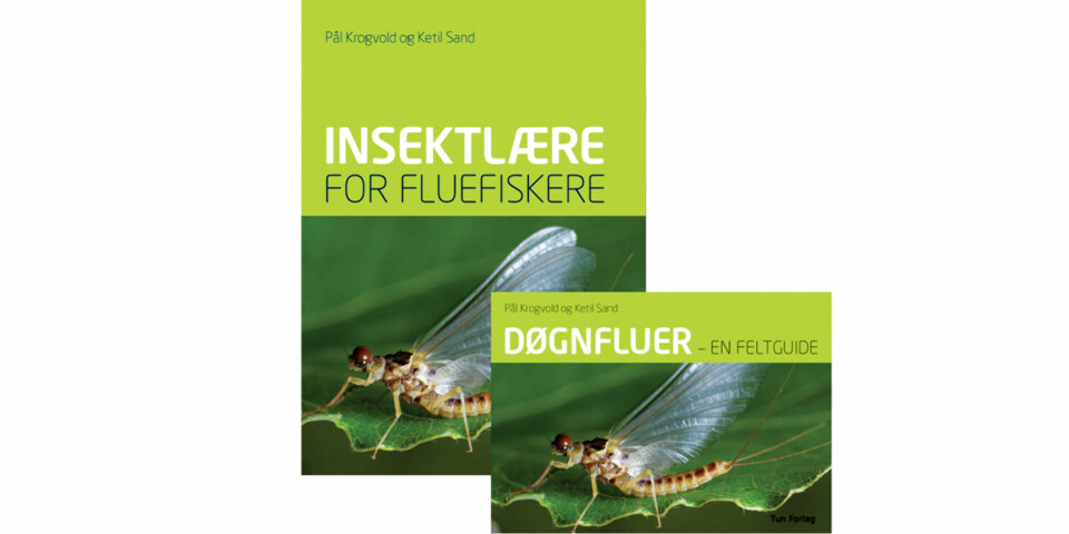 Norsk insektlære for fluefiskere