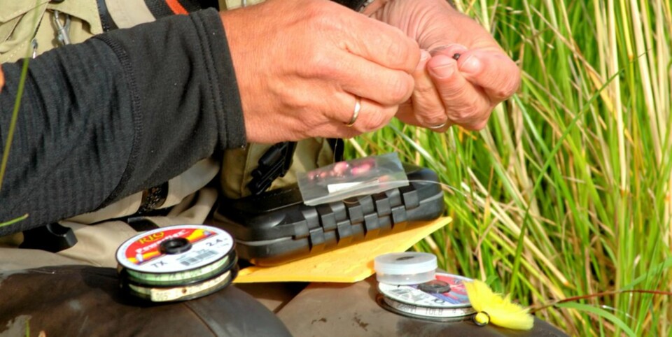 Drevne fluefiskeres triks