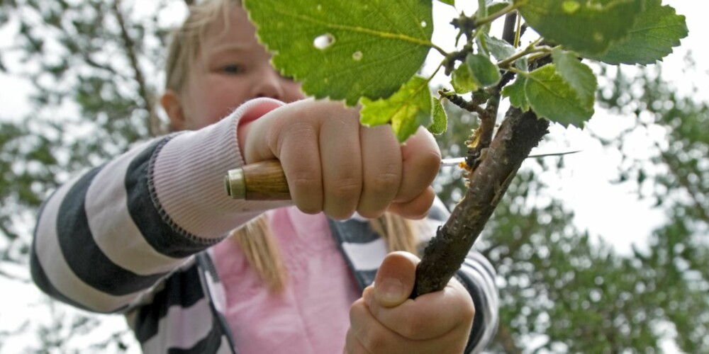 SELVGJORT ER VELGJORT: Først spikker Sanne (9) sin egen markstang.