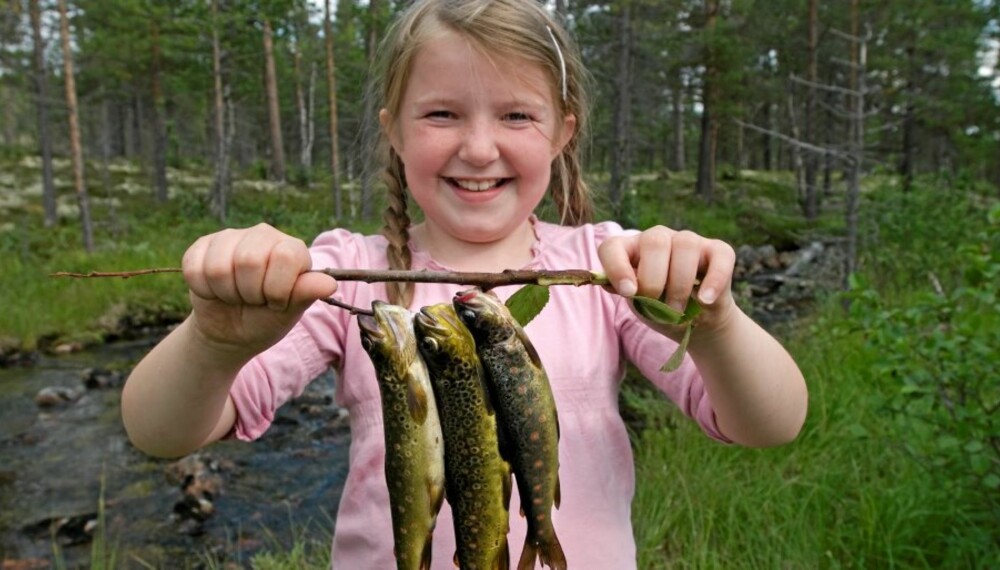 STOLT: Snart kan Sanne vise fram tre små bekkørreter. STOLT: Snart kan Sanne vise fram tre små bekkørreter.