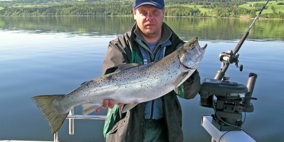 Fang storørret i Mjøsa