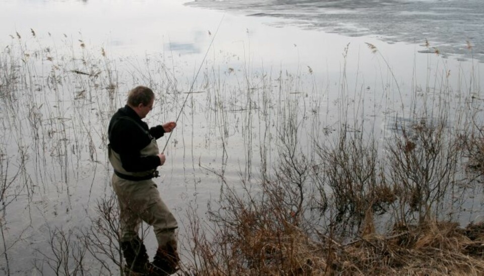 Vårfiske etter ørret. (Foto: Dag Kjelsaas)