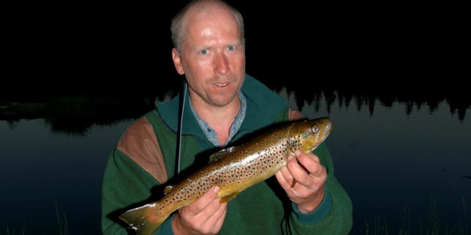 KILOSFISK som lot seg lure av en liten vårfluepuppe i nattemørket. (Foto: Bjørn Mikael Pettersen)