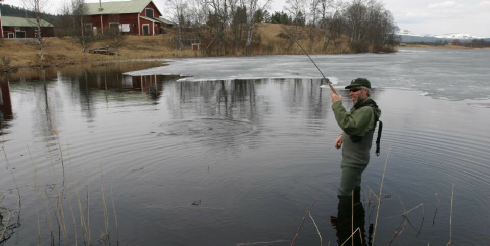Ørret på mormyshkaen.(Foto: Dag Kjelsaas)