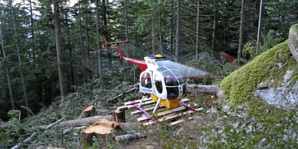 HELI-HOGGERE: Helikopter er helt nødvendig for å utføre jobben i Canadas fjellland.
