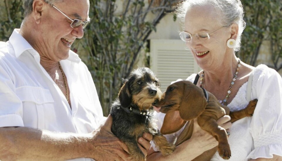 Prins Henrik og dronning Margrethe er begge hundeelskere. Prinsen er derimot ikke noen god og ansvarlig hundeier, mener danske politikere.
