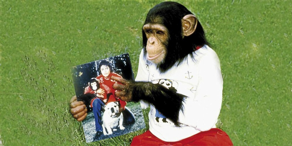 SNYTT FOR "FARSARVEN": Bubbles og Michael Jackson var bestevenner på 80-tallet. Etter Jackos død har ikke apen mottatt fem  cent av alle millionene han skulle arve.