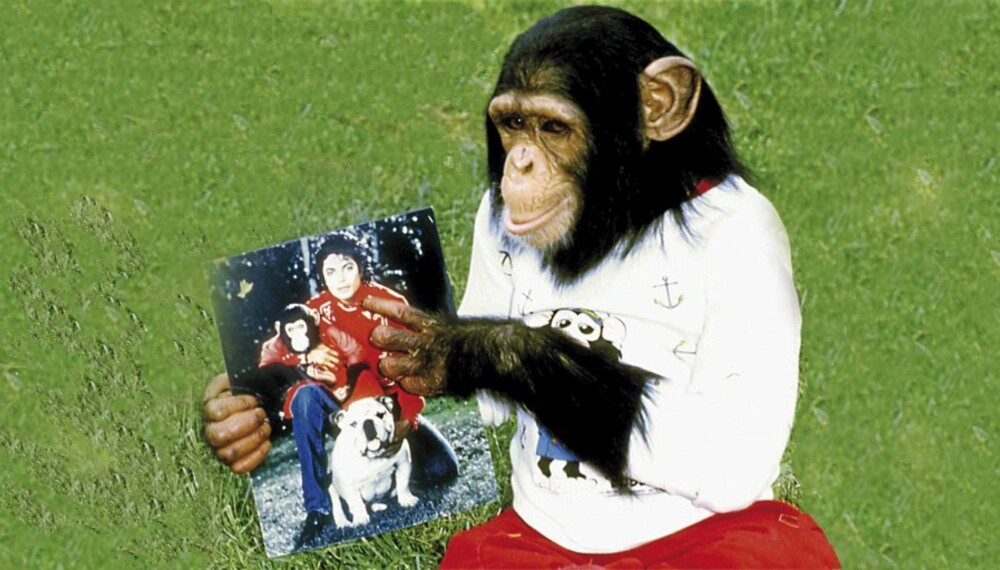 SNYTT FOR "FARSARVEN": Bubbles og Michael Jackson var bestevenner på 80-tallet. Etter Jackos død har ikke apen mottatt fem  cent av alle millionene han skulle arve.