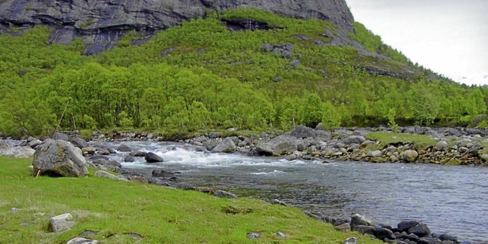 DRØMMEELV: Elva skifter mellom stryk og stiller på sin ferd mot havet.